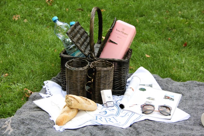 piknik6