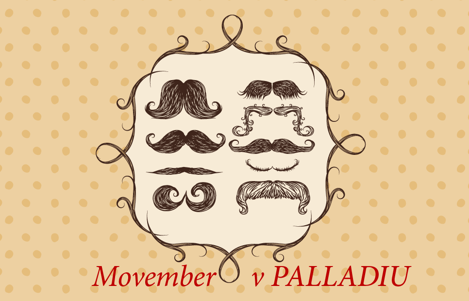 Movember v PALLADIU