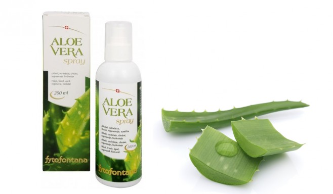 aloe vera